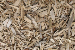 biomass boilers Raploch
