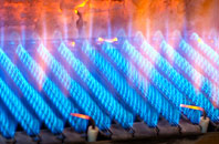 Raploch gas fired boilers